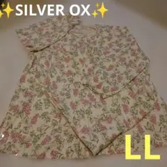 Item thumbnail for item a0294237-6321-477a-a515-096d632ff34d