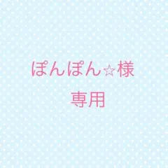 ぽんぽん⭐︎様専用