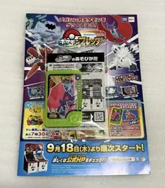 ポケモンフレンダ　スペシャルピック ヤミラミ　非売品　1枚　＋リーフレット1冊