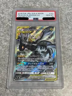 2026年最新】ピカチュウ&ゼクロム sa psa10の人気アイテム - メルカリ