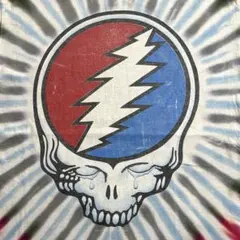 90s Grateful Dead グレイトフルデッド Tシャツ タイダイ Lのサムネイル