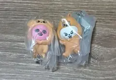 SKZOO つまんでつなげてますこっと vol.2 リノ チャンビン