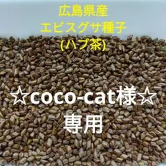 Item thumbnail for item 45a3fbdf-f1bc-4741-8f63-d6bba867ee7a