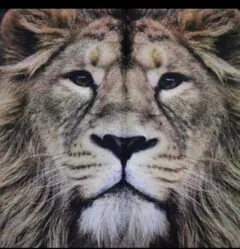 ぱんくろっく★プロフ必読★様 リクエスト 2点 まとめ商品