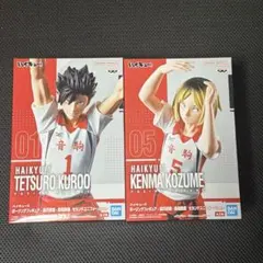 ハイキュー　フィギュア　2体セット