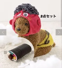 ペット用　節分　3COINS 3点セット