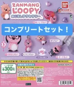 ZANMANG LOOPY めじるしアクセサリー 全5種コンプリートセットのサムネイル