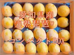 愛知県産♡完熟琵琶♡コンパクトBOX♡
