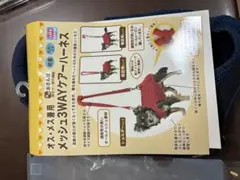 Item thumbnail for item c0fa00e1-6158-473e-9c47-a6fac9d7ff24