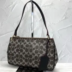 ✨極美品✨COACH コーチ　ブラウンシグネチャーショルダーバッグ