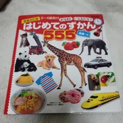 Item thumbnail for item 861782da-10a3-4879-8aaf-4dd4e341cdd5