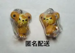 ポケットモンスター　スイングコレクション　ヒメグマ