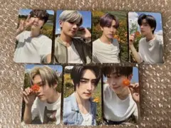 ENHYPEN ORANGEBLOOD kpopmerch トレカ