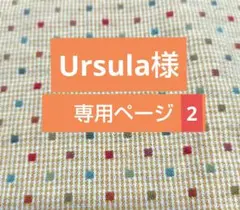 Ursula様、専用ページ２です。
