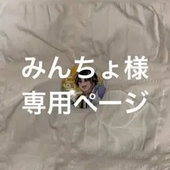 みんちょ様専用ページ
