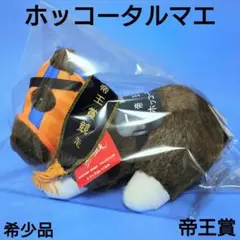 2026年最新】アバンティ avanti 5sの人気アイテム - メルカリ