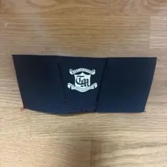 ソルテック バサロマスター　競泳・練習（バタフライ等）
