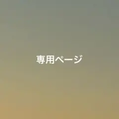 専用ページ