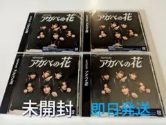 【新品未開封 】MATSURI アガベの花 CD 通常盤4枚