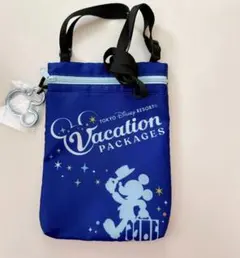 ディズニーバケーションパッケージ チケットホルダー バケパ 非売品