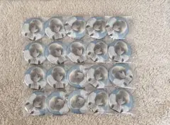 進撃の巨人 ラメキラ 缶バッジ アルミン