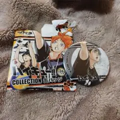 ハイキュー 宮治 缶バッジ ぬいぐるみ まとめ売り ハイキュー 宮治 まとめ売り ぬいぐるみ 缶バッジ