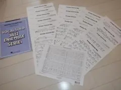 ヴォーカル＆フルビッグバンド譜「Orange Colored Sky」