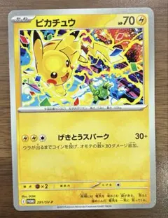 やまや様 リクエスト 2点 まとめ商品