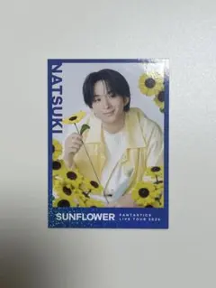 澤本夏輝　フォトカ シクレ