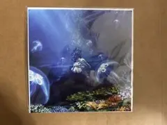 Aimer 花の唄 I beg you 春はゆく 特典 メガジャケット