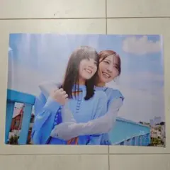 日向坂46金村美玖、小坂菜緒「イチャイチャ虫」Type−B B3ミニポスター14