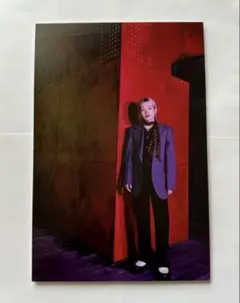 2026年最新】山本彰吾 パネルの人気アイテム - メルカリ