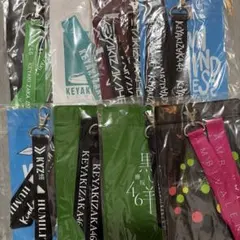 【新品未開封】 欅坂46 チケットホルダー 櫻坂46