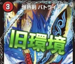 旧環境　ゲートボール　CS優勝 デュエルマスターズ　ヘブフォドラグナー　デッキ 旧環境 ゲートボール CS優勝 デュエルマスターズ ヘブフォドラグナー