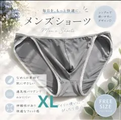 新品　メンズ　XLサイズ　触り心地超いい　グレージュ　ダンディ　ストレッチ　下着