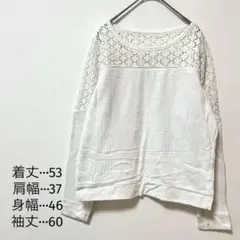 ホワイト レースディテール 長袖トップス　カジュアル　シンプル　長袖　トレーナー