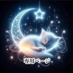 ❅専用ページです❅