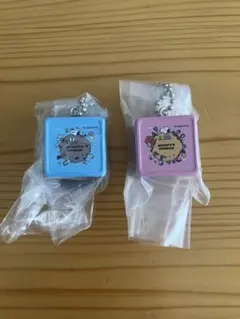 PEANUTS ビスケットミニチュアチャーム 2個セット