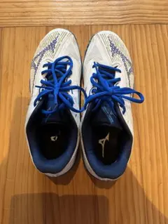 MIZUNO ミズノ　トレシュー？　サッカーシューズ？のサムネイル
