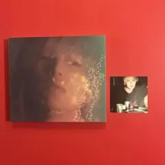 ヤングスキニー 歌にしてしまえば、どんなことでも許されると思っていた CD