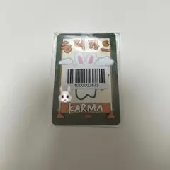 straykids karma fans リアルタッチ リノ