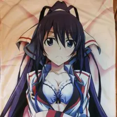 IS＜インフィニット・ストラトス＞ 篠ノ之箒 抱き枕カバー スムース 正規品