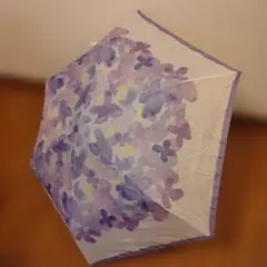 Item thumbnail for item 81e019ae-5d40-4e40-8d22-b4eb0eba47fd