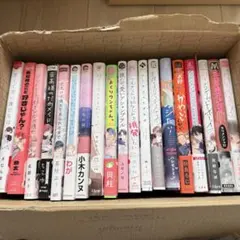 BLマンガ　まとめ売り　16冊セット