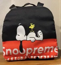 【新品・未使用】　スヌーピーランチバック