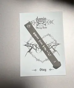 Stray Kids スキズ stayzone アイエン メッセージ