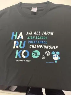 メンズファイテン Tシャツ XO バレーボール 高校バレー 関東大会 茨城