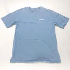 ★パタゴニア オーガニックコットンTシャツ Sサイズ ブルー系 メンズ