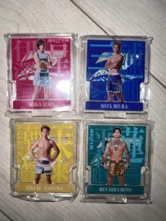 RIZIN 朝倉未来 アクリルスタンド 2個 朝倉未来 アクリルスタンド - メルカリ
