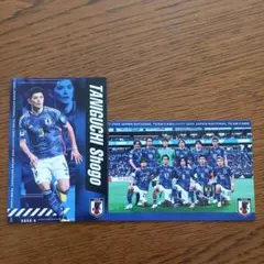 Item thumbnail for item ffcc1df5-d4d4-40bc-ae07-62acfb3f05c5